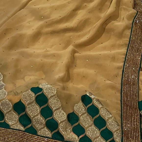 Pure Geogette embroidered designer Rangoli sequin saree - Picture 10 of 12